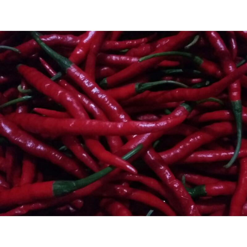 

cabai merah segar 250 gr