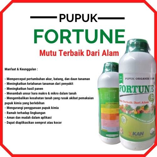 PUPUK bawang merah yang bagus, nutrisi tanaman bawang merah