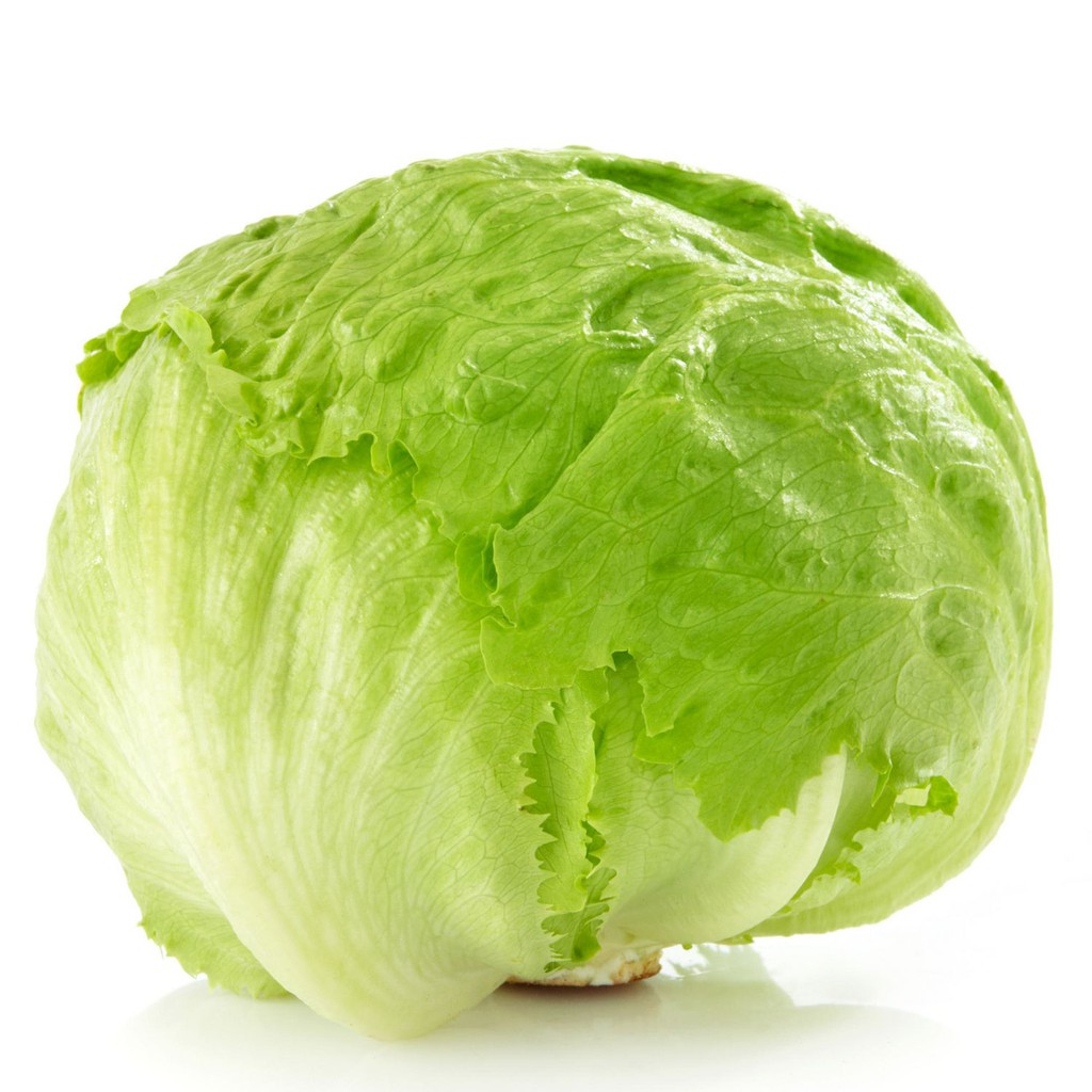 

Iceberg Lettuce Sayur Segar Selada Air 250gram