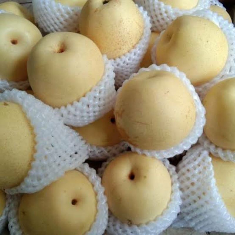 pear madu / buah pear putih