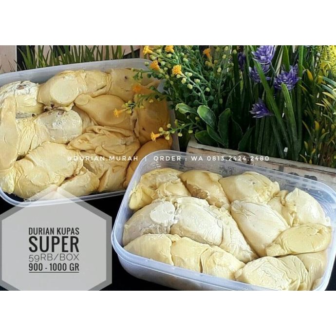 

Durian Kupas Medan Kualitas Super Terbaru