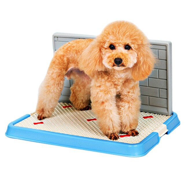 Pet Toilet dengan Dinding Size S / Dog Toilet / Tempat Pipis Anjing
