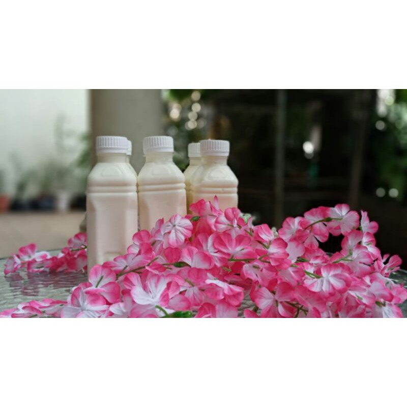 

susu kambing etawa murni 100 persen