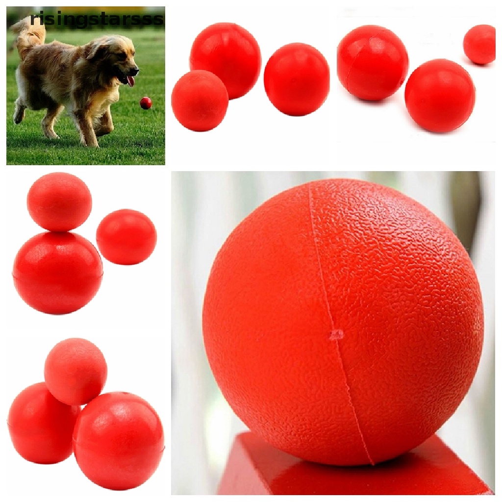 Rsid Span-new Indestructible Solid Rubber Ball Pet cat Dog Training Chew Play Fetch Bite Mainan Jelly