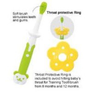 Richell Training Toothbrush From 8month 98653