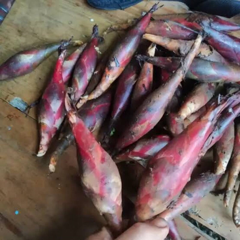 

buah pining goloba segar 500gr