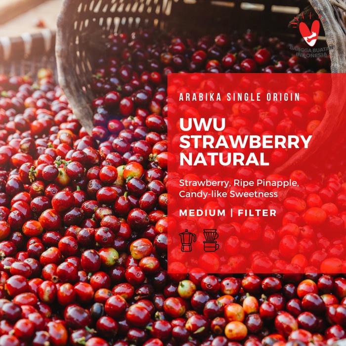 

Arabika Uwu Strawberry 200 Gr Roast Bean Coffee - Kopi Biji Matang