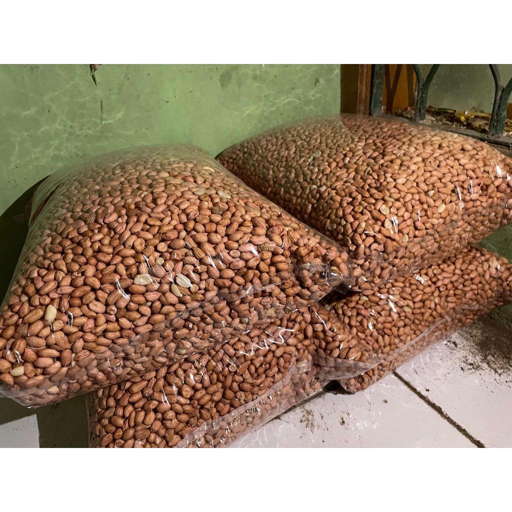 

Kacang/Suuk Curah Cap Merk/OB Isi 5kg