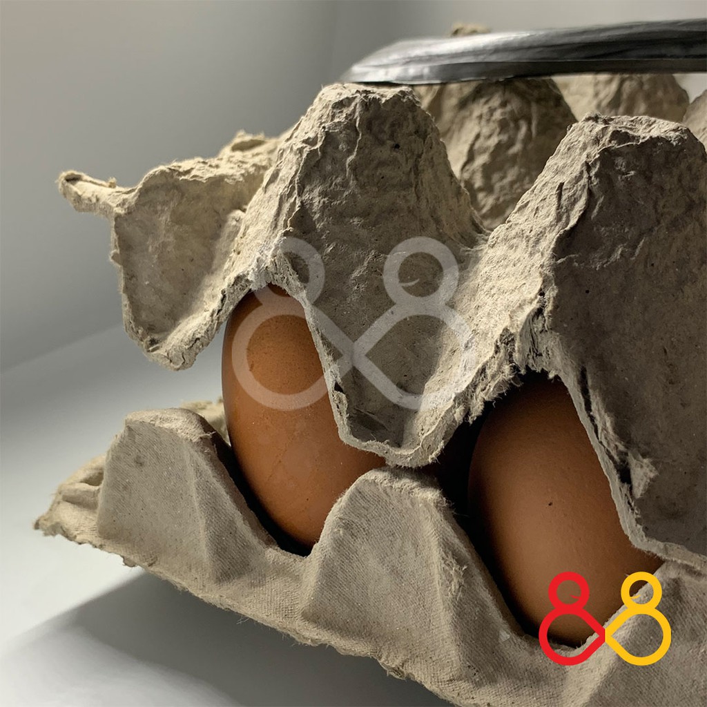 Telur Ayam Negeri (1 Peti) - Telur Ayam Kualitas Bagus 15Kg