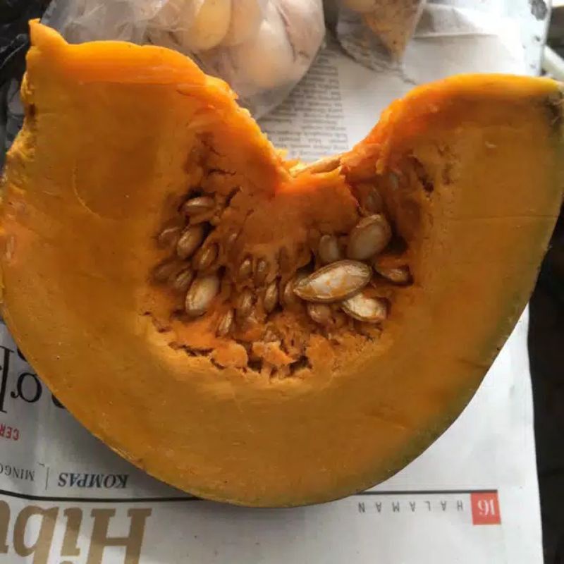 

Labu Parang Labu kuning Labu Kolak