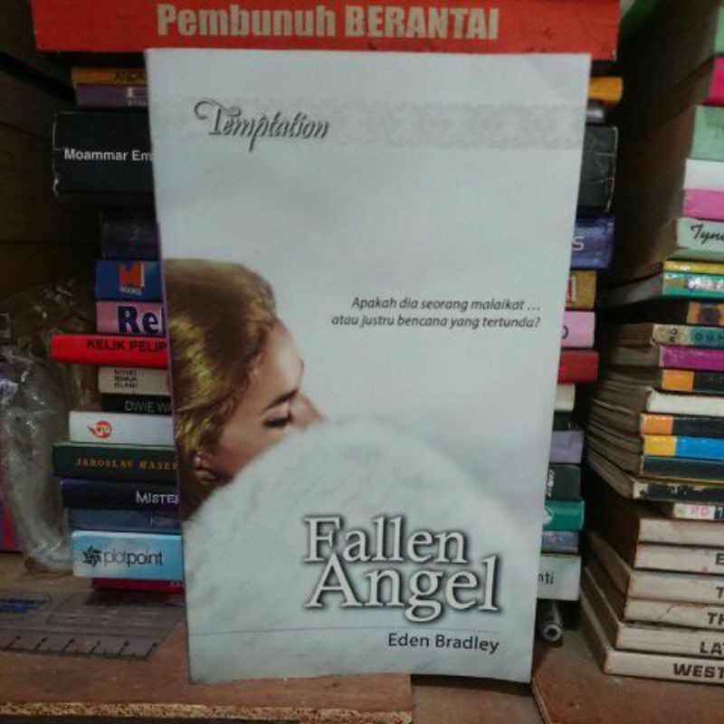 Novel Fallen Angel