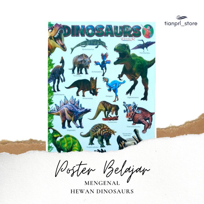 

POSTER BELAJAR MENGENAL HEWAN DINOSAURUS