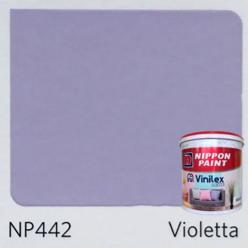 Vinilex Pro 1000 20Kg "Violetta"