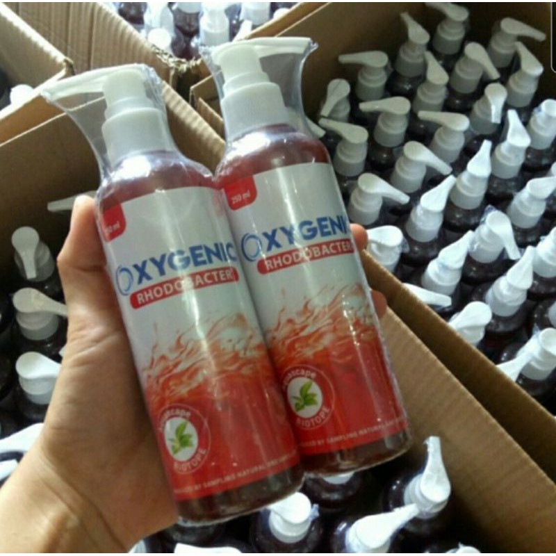 Oxygenic aquarium aquascape rhodobacter bacteri starter 250ml