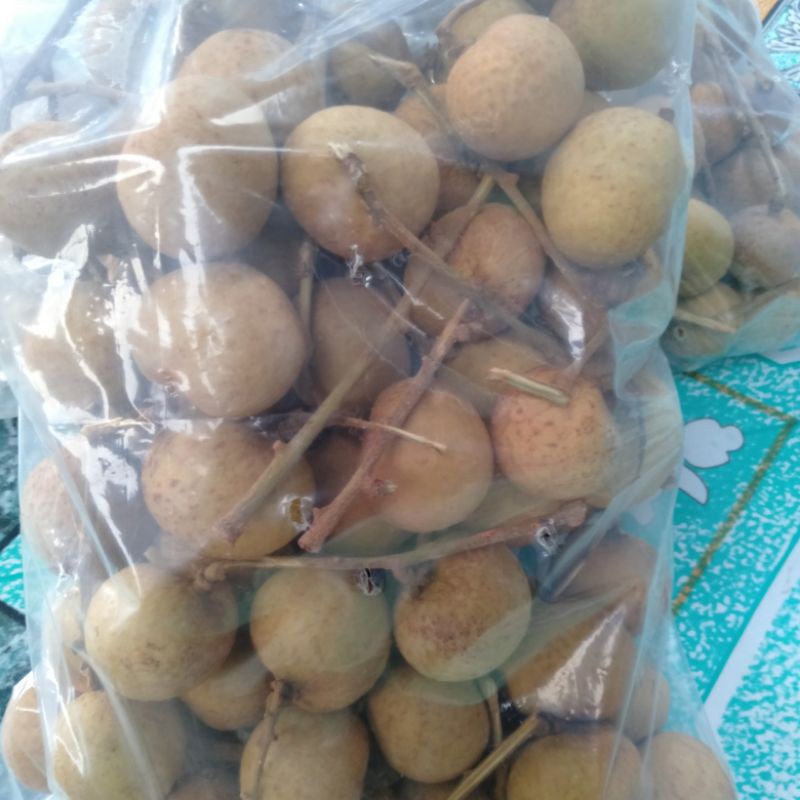 

Kelengkeng Bangkok Cap Mas manis 1 kg