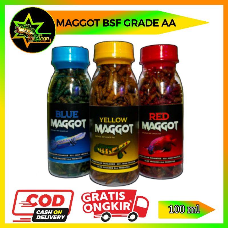 Red Maggot Maggot Kering Kemasan Botol 100 ml