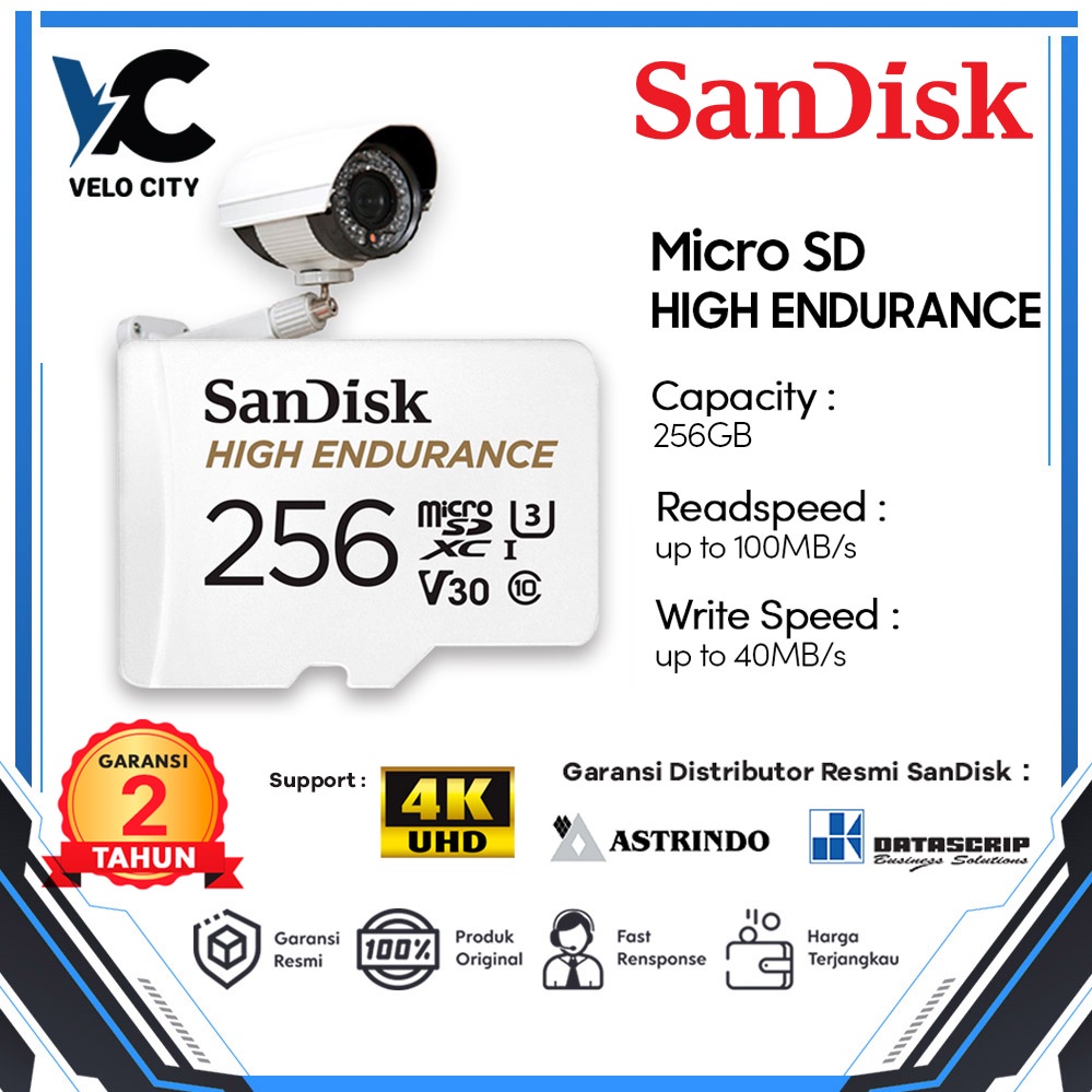 microSD SanDisk High Endurance Card 256GB Camera or Home Security CCTV