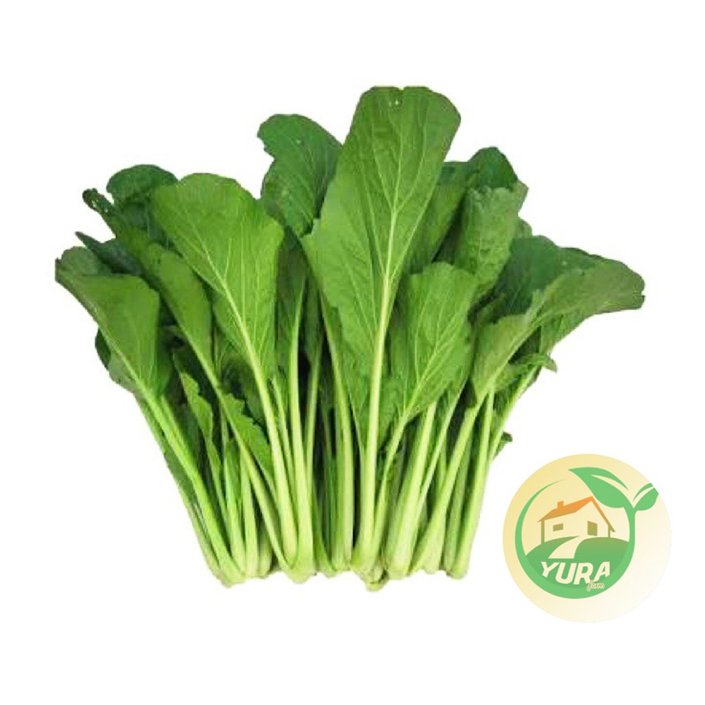 

SAWI HIJAU / CAISIM Organik 100% Sayur Segar Organic