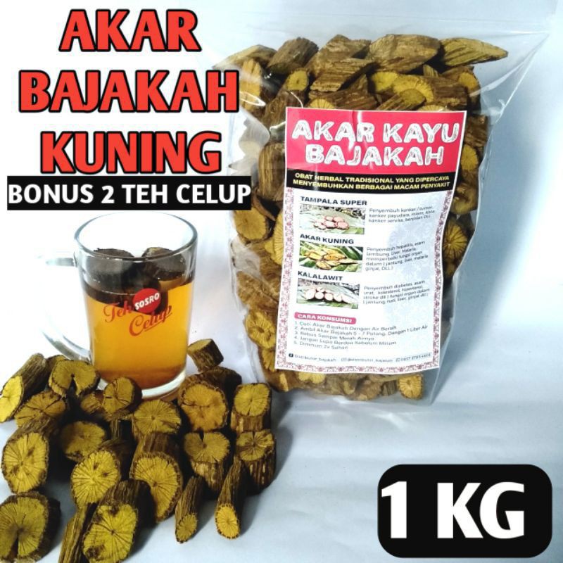 

AKAR KAYU BAJAKAH KUNING ASLI 1 KG/AKAR BAJAKA MURAH