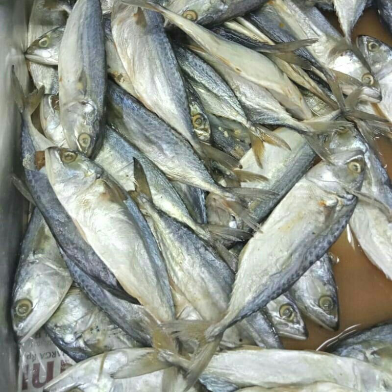 

Ikan asin peda putih - ikan asin peda - ikan asin murah