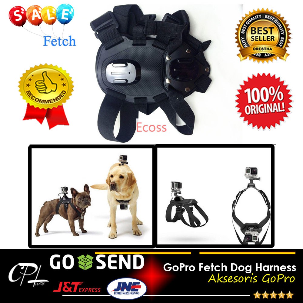 GoPro Fetch Dog Harness