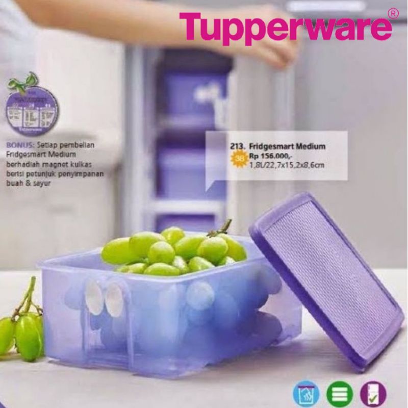 Fridgesmart Tupperware Medium