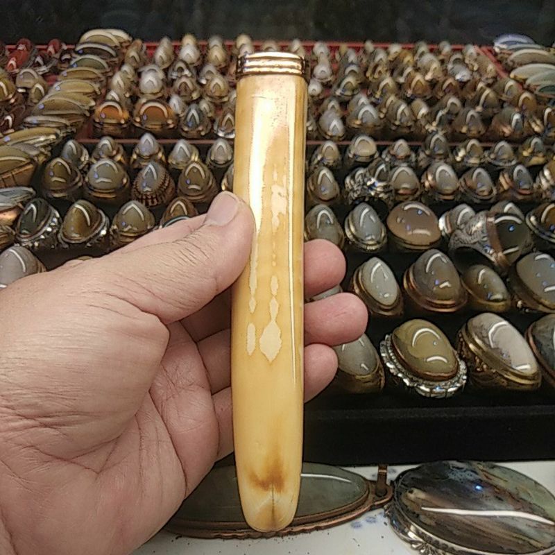 Pipa Taring Duyung Lawas