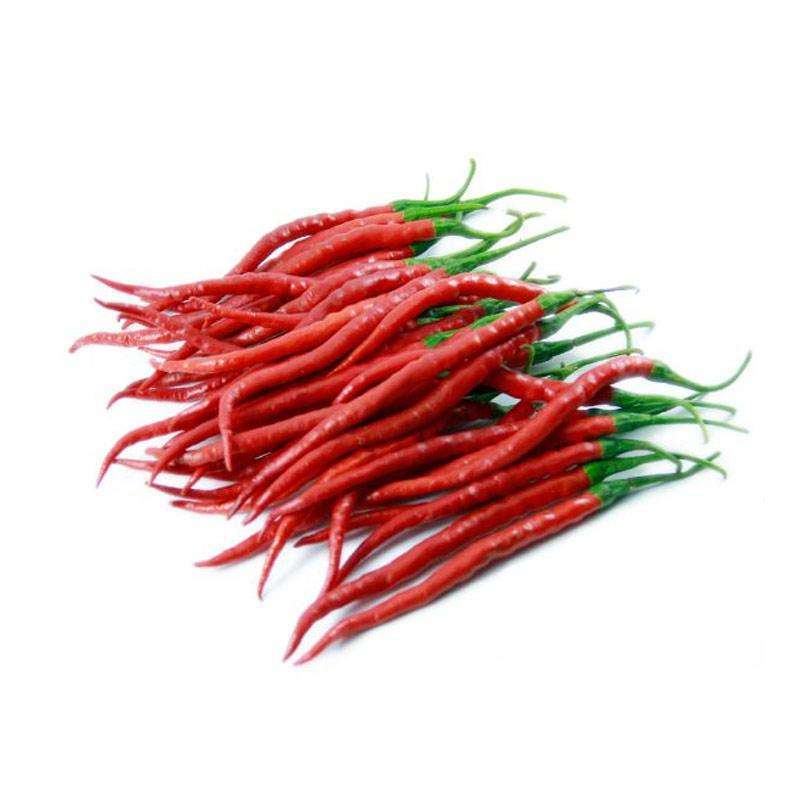 Cabe Keriting Merah Organik 100gr