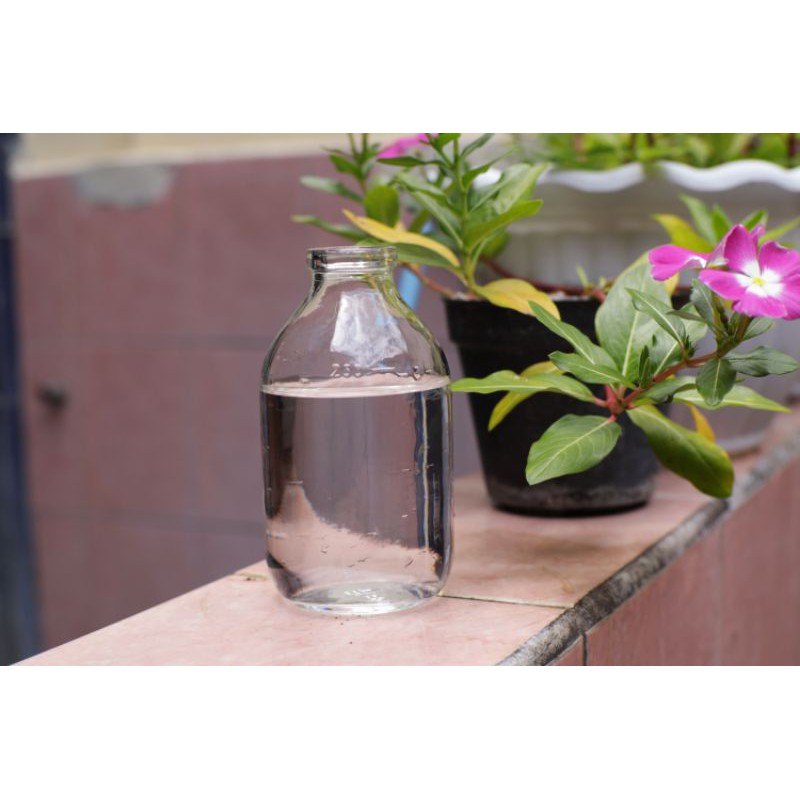 botol ikan cupang 250ml