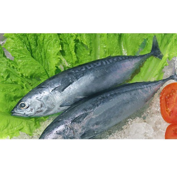 

500gram tongkol deho lisong