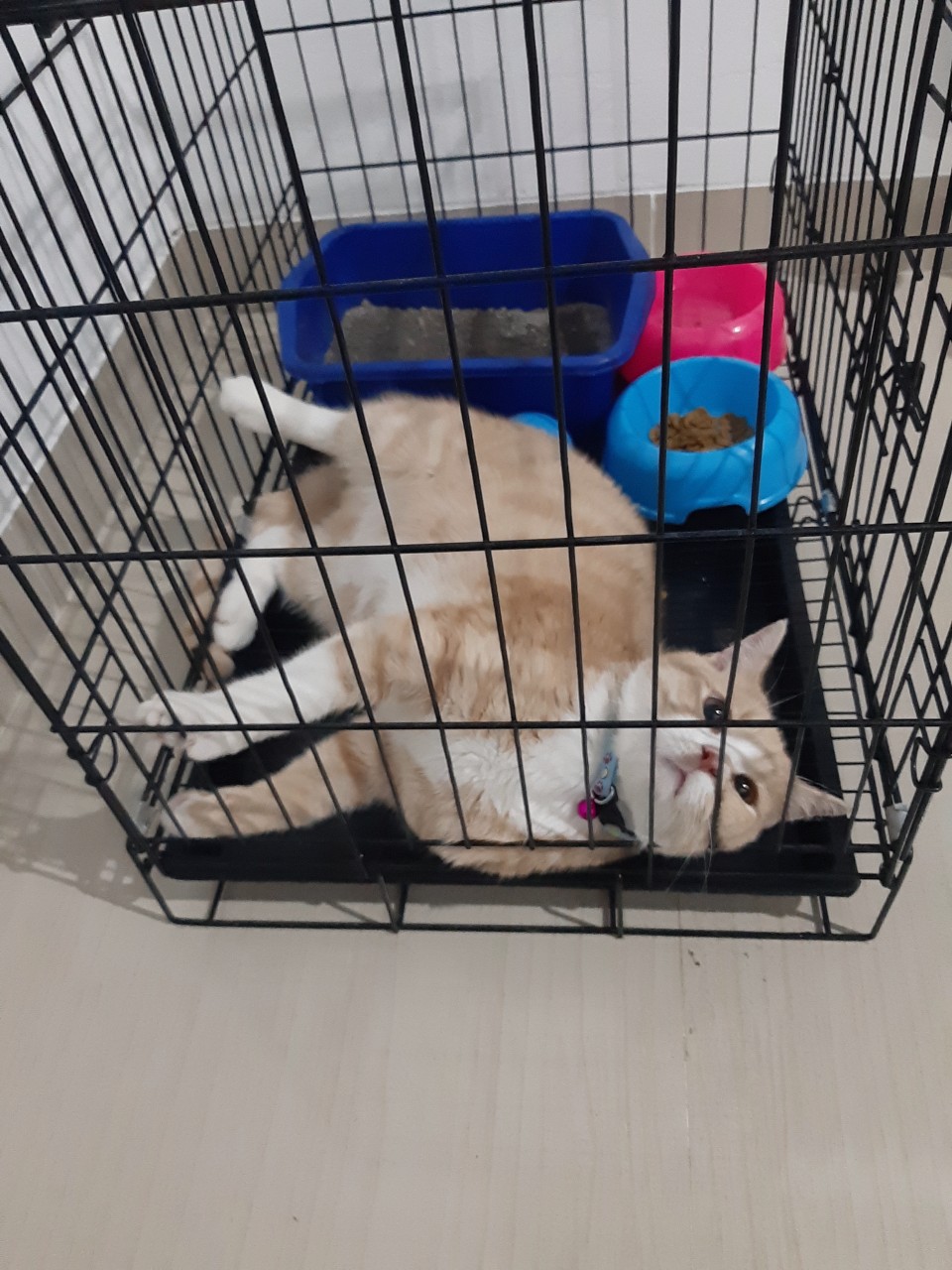 Kunci Laci Lemari Geser Sliding Mekar Huben Hl 505