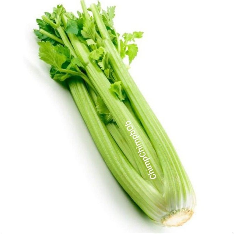 

SELEDRI / SLEDRI STICK FRESH / CELERY STICK 1 KG / PACK