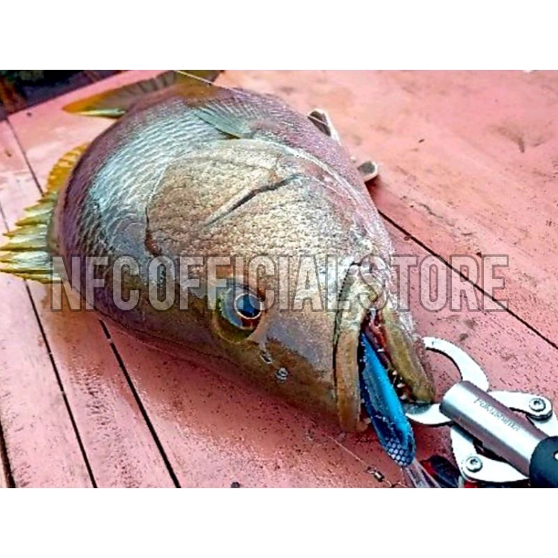 Lure minnow FLOATING lidah panjang Blackbass, Panjang body 6 cm panjang lidah 3 cm berat 6 gram