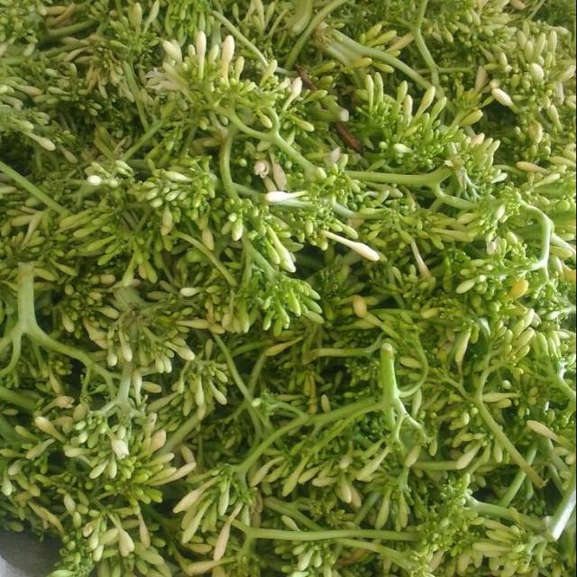 

BUNGA PEPAYA [200gr]