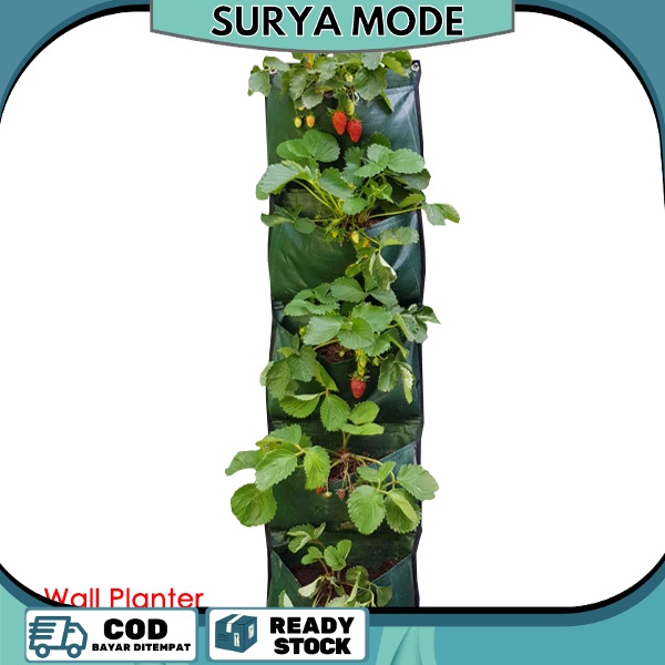 Wall Planter Easy Grow 5 Kantong