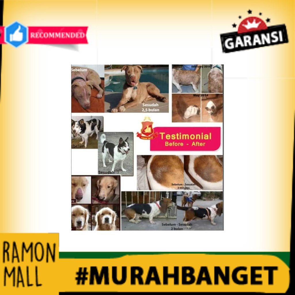 PET best  Spray Obat Kulit Scabies Demodex Jamur Kutu Anjing Kucing Hewan Alami Berkualitas