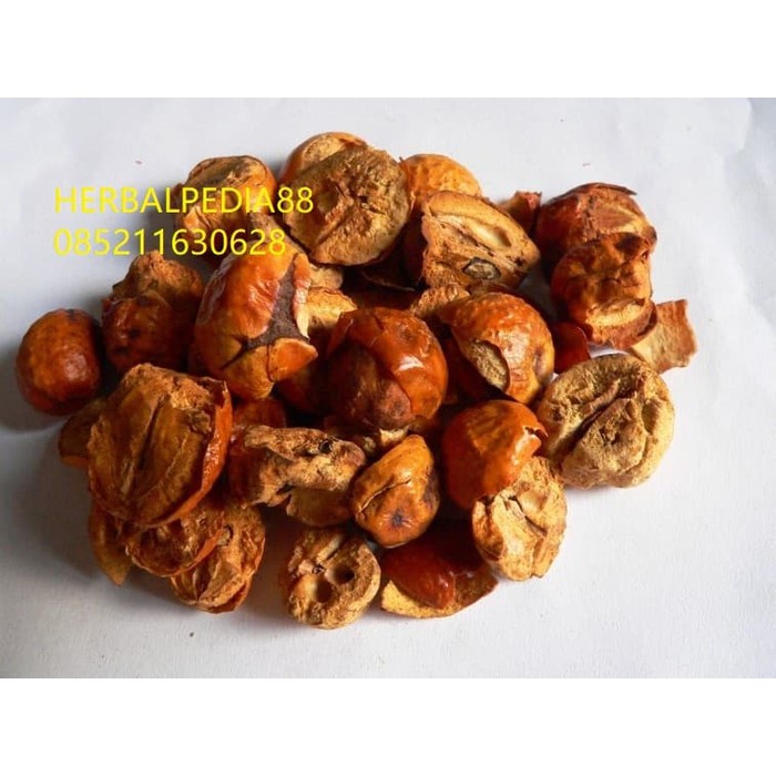 

chuan lian zi 川楝子 Toosendan Fructus 100 gram