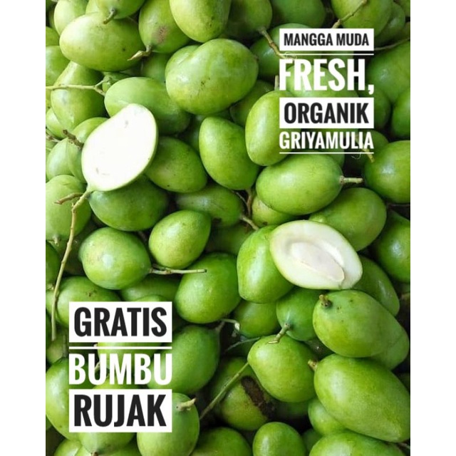 

Mangga Muda segar Baru Petik Organik 1 kg