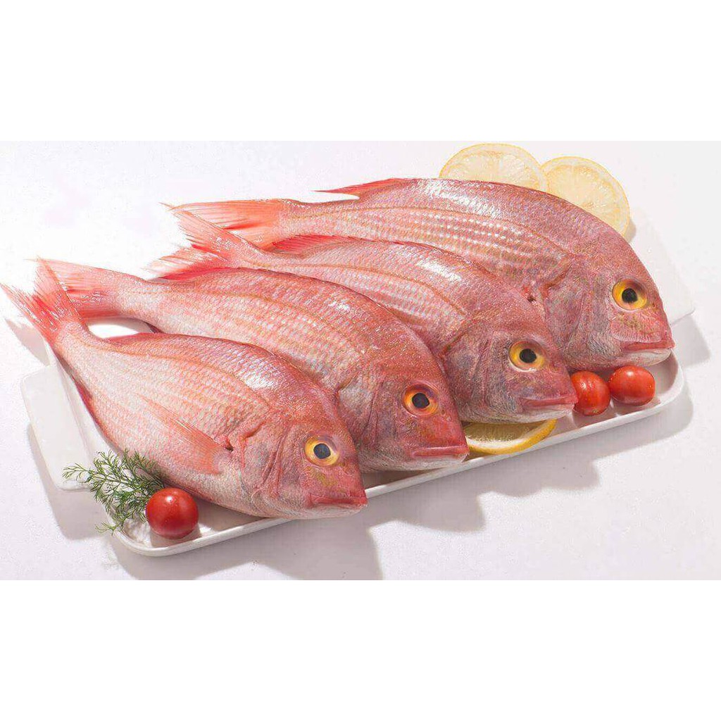 

Ikan Kakap Merah/500gr