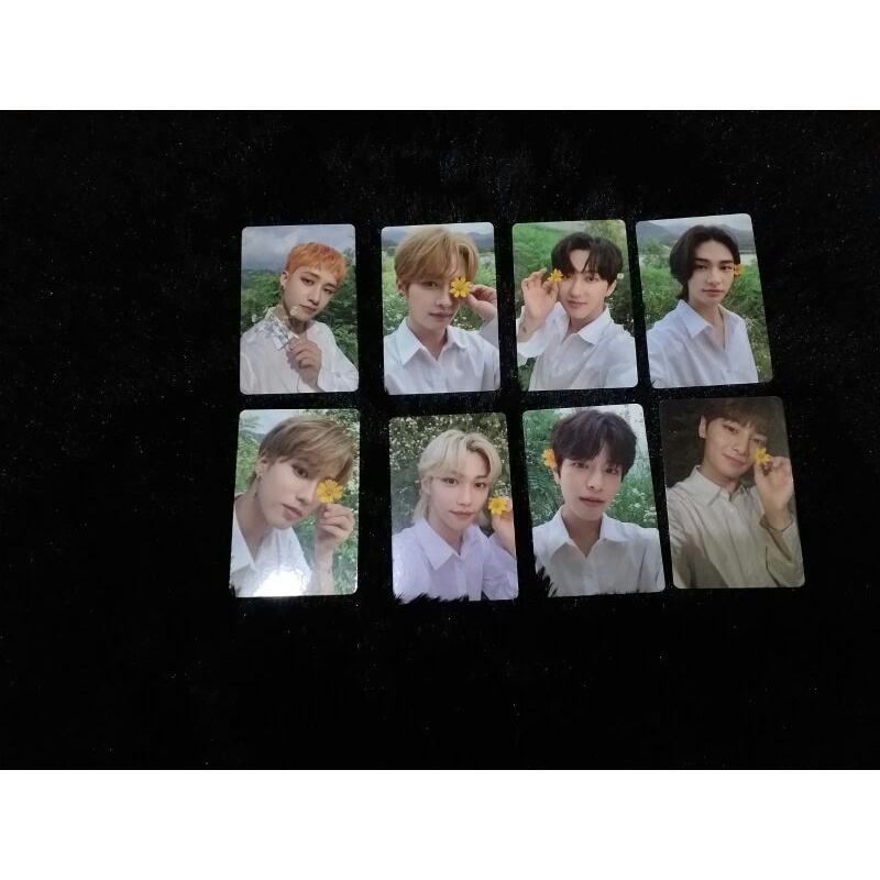 PC Photocard StrayKids Official Limited NoEasy