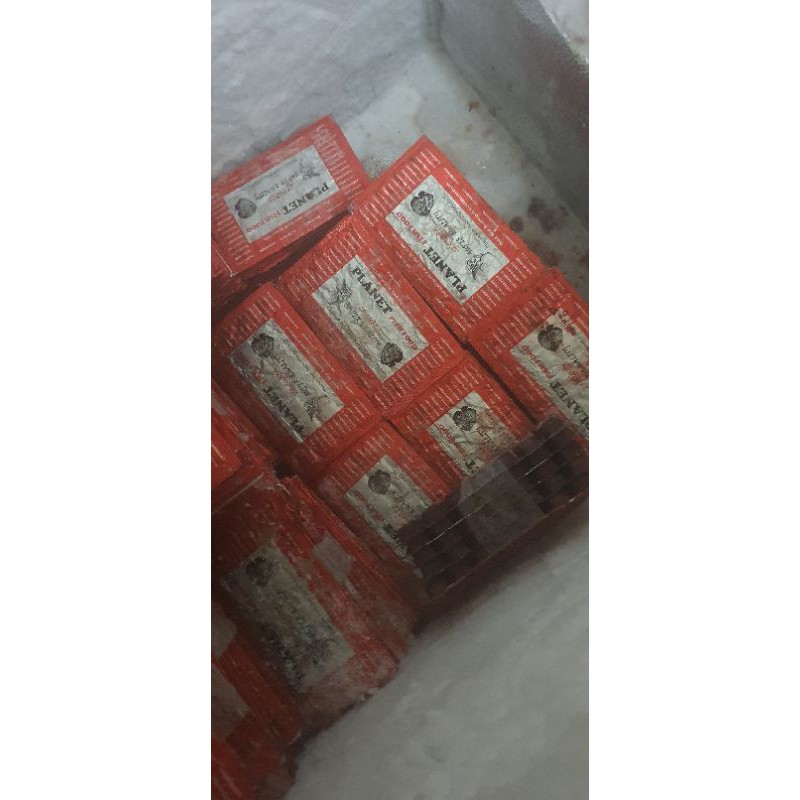 Cacing beku PLANET Bloodworm