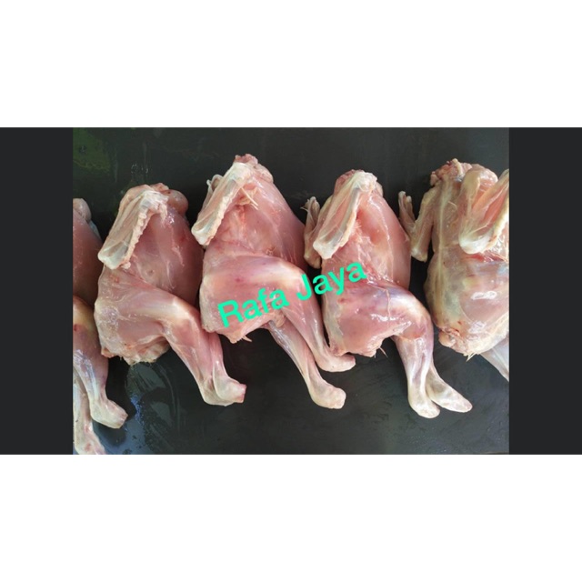 

Ayam Pejantan Tanpa Kulit Fresh