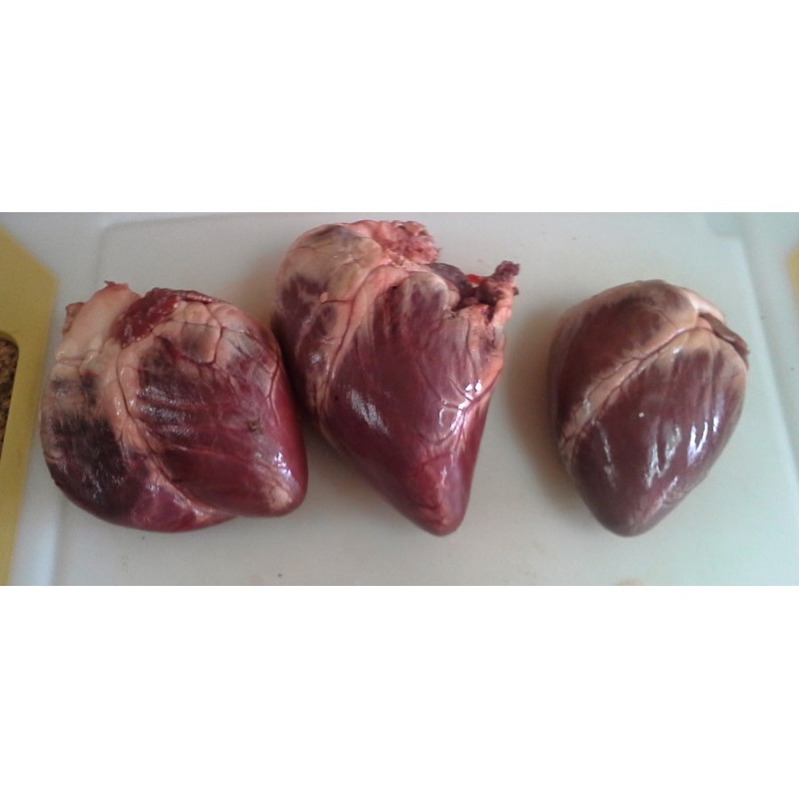 

JANTUNG SAPI SEGAR ( FRESH BEEF HEART )