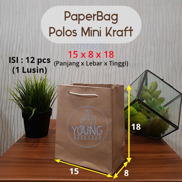 Paper Bag Tas Kertas Mini Polos  Uk 15x8x18 1 lusin  