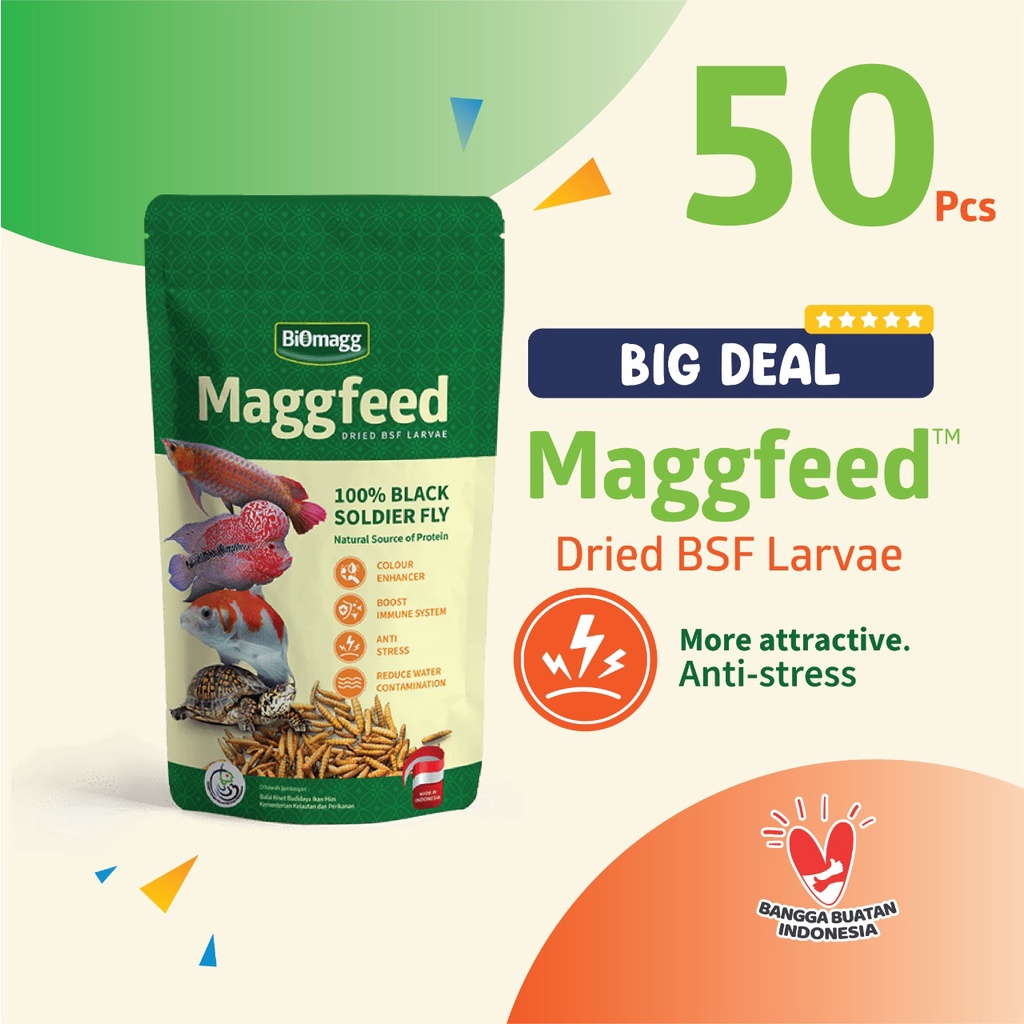 Paket Maggfeed 50 pcs pakan ikan predator channa fish food murah