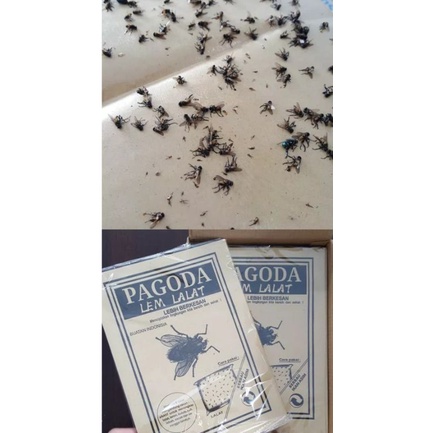 

LEM LALAT PAGODA BENTUK BUKU ISI 100 PCS