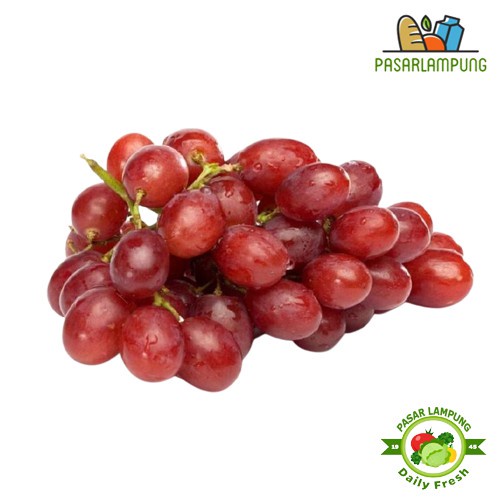 

Buah Anggur Merah Segar 500 Gram Pasar Lampung
