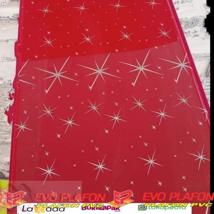 pvc plafon | Plafon Pvc Bintang | Plafon Pvc Motif Bintang | Plafon Pvc