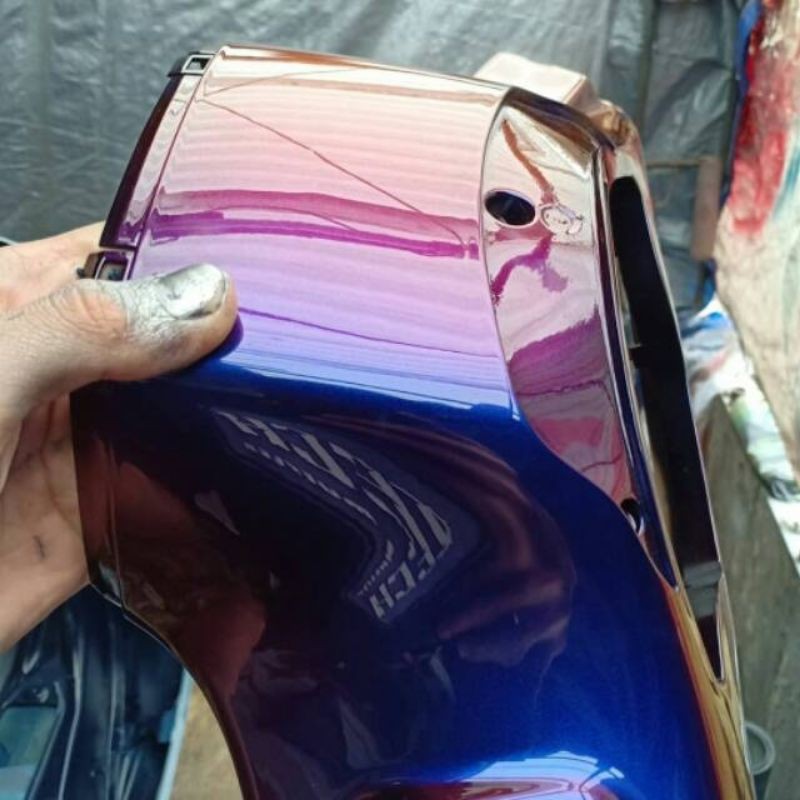 CAT BUNGLON CHAMELEON