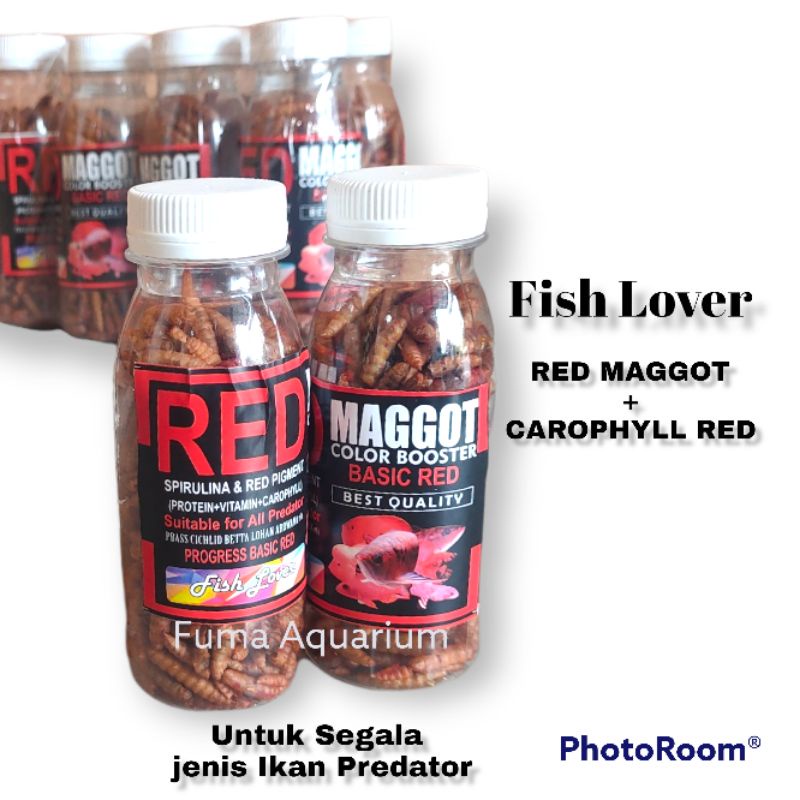 Fish Lover Red Maggot BSF Color Booster Basic Red 20gr Pakan Ikan Makanan Ikan Hias Predator dll